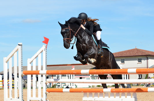 Pferdesportarten erklärt: Erläuterung verschiedener Reitdisziplinen wie Dressur, Springen, Westernreiten, Distanzreiten usw.