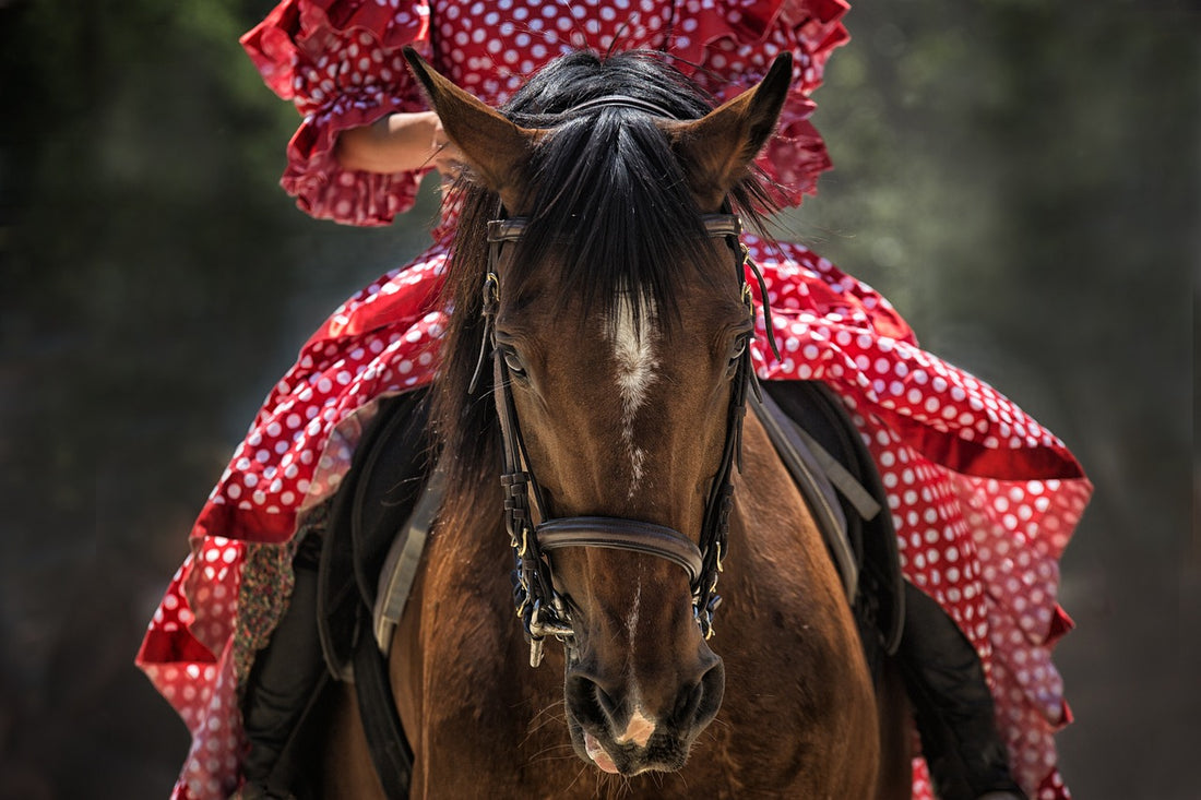 Reittechniken für Anfänger: Einführung in das Reiten, Sitz und Hilfengebung für Neueinsteiger